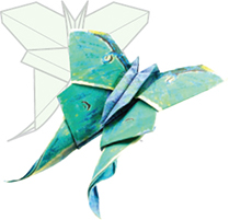 Butterfly Origami - image 2