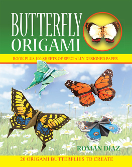 Román Díaz - Butterfly Origami