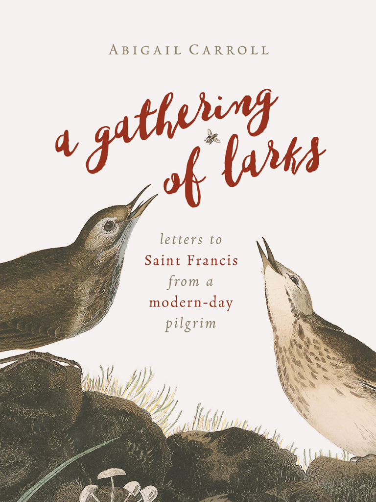 A Gathering of Larks Letters to Saint Francis from a Modern-Day Pilgrim ABIGAIL - photo 1