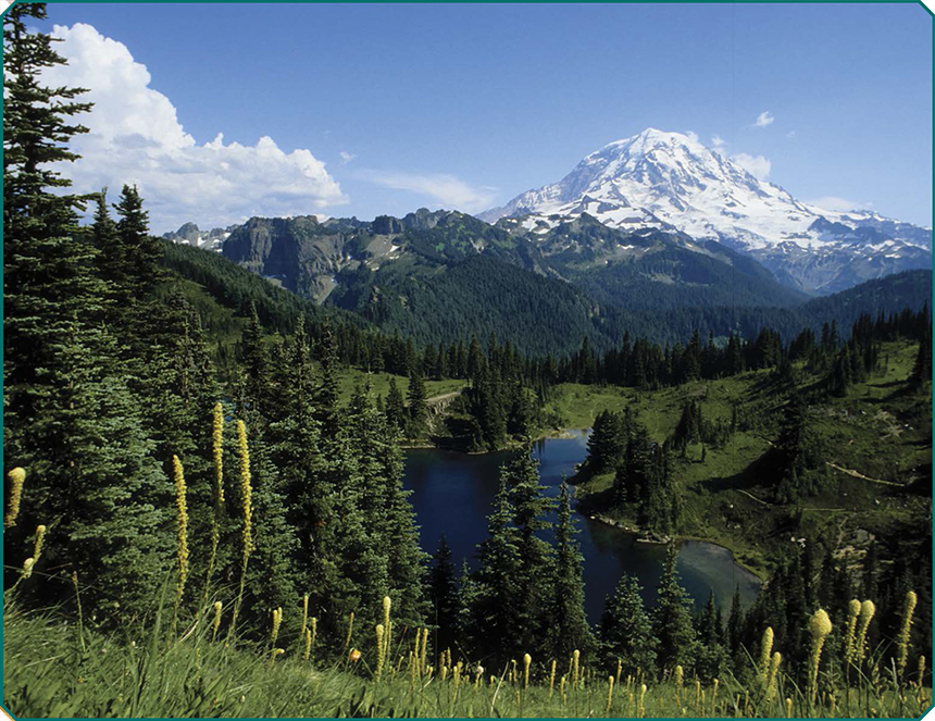 Mount Rainier part of the Cascade Range and Eunice Lake which was carved by - photo 4