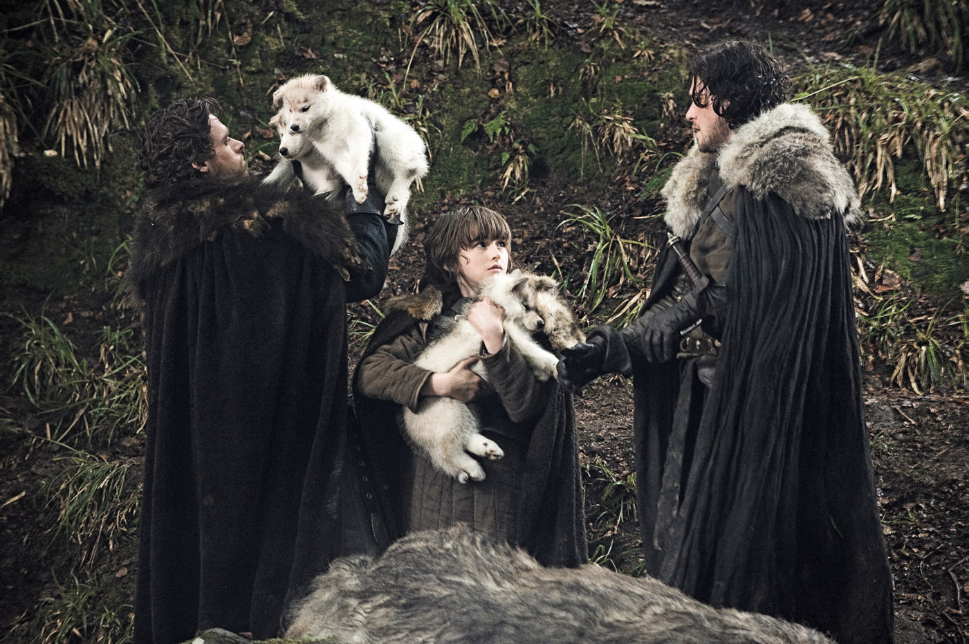 The Starks find direwolf pupsThe Stark family greets King Robert Baratheon - photo 2