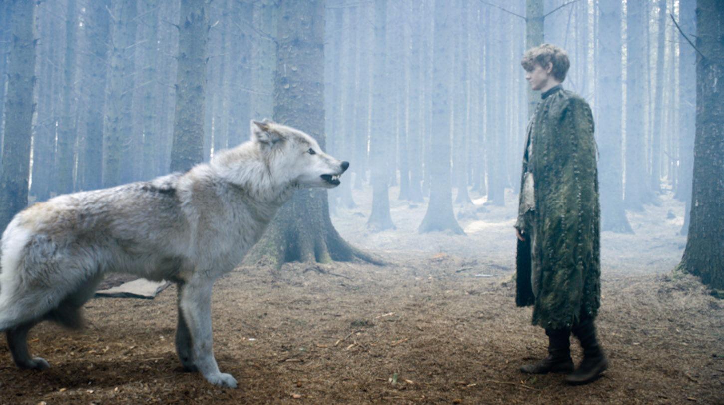 Brans direwolf Summer and Jojen Reed Thomas Brodie-SangsterTheon Greyjoys - photo 29