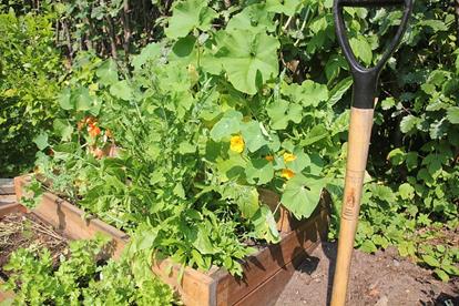 Photo 2 Use raised beds to extend growing season inyour mini farm How to fill - photo 5