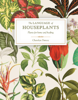 Cheralyn Darcey - The Language of Houseplants