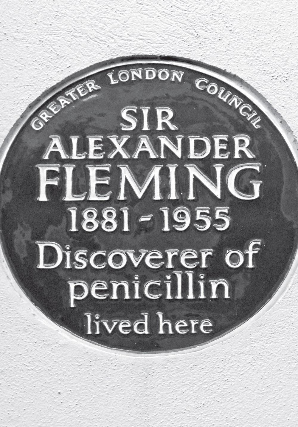 Alexander Fleming cleans up his dishes and penicillin is washed down the drain - photo 1