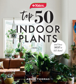 Angela Thomas - Yates Top 50 Indoor Plants And How Not To Kill Them!