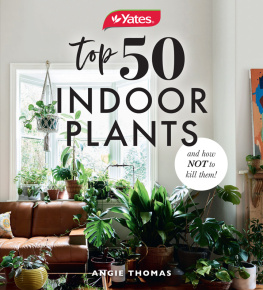 Angela Thomas Yates Top 50 Indoor Plants And How Not To Kill Them!