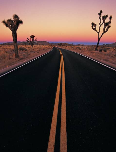 The highway in Californias Joshua Tree National Park winds through a - photo 6