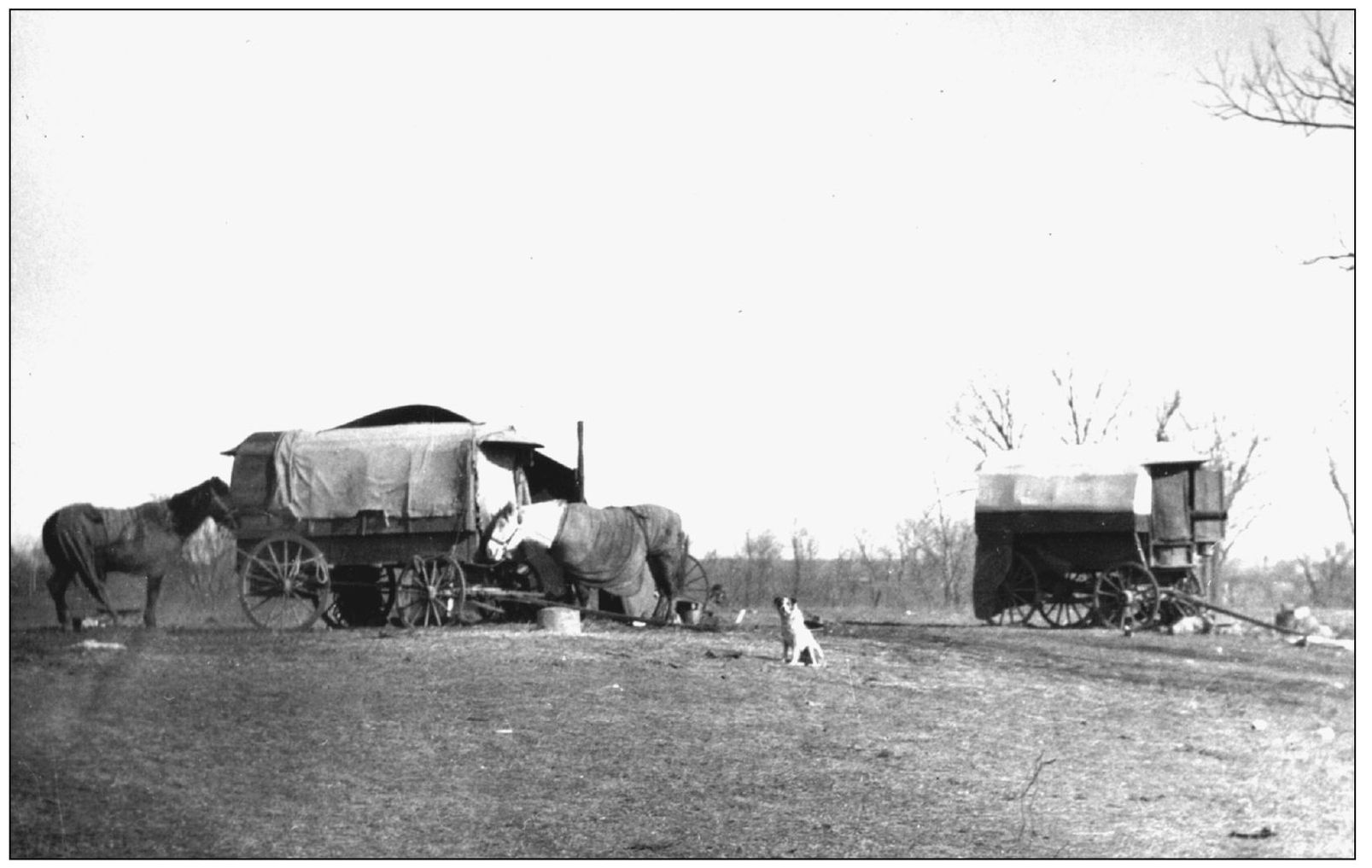 These covered wagons parked on the winter prairie probably served as home until - photo 7