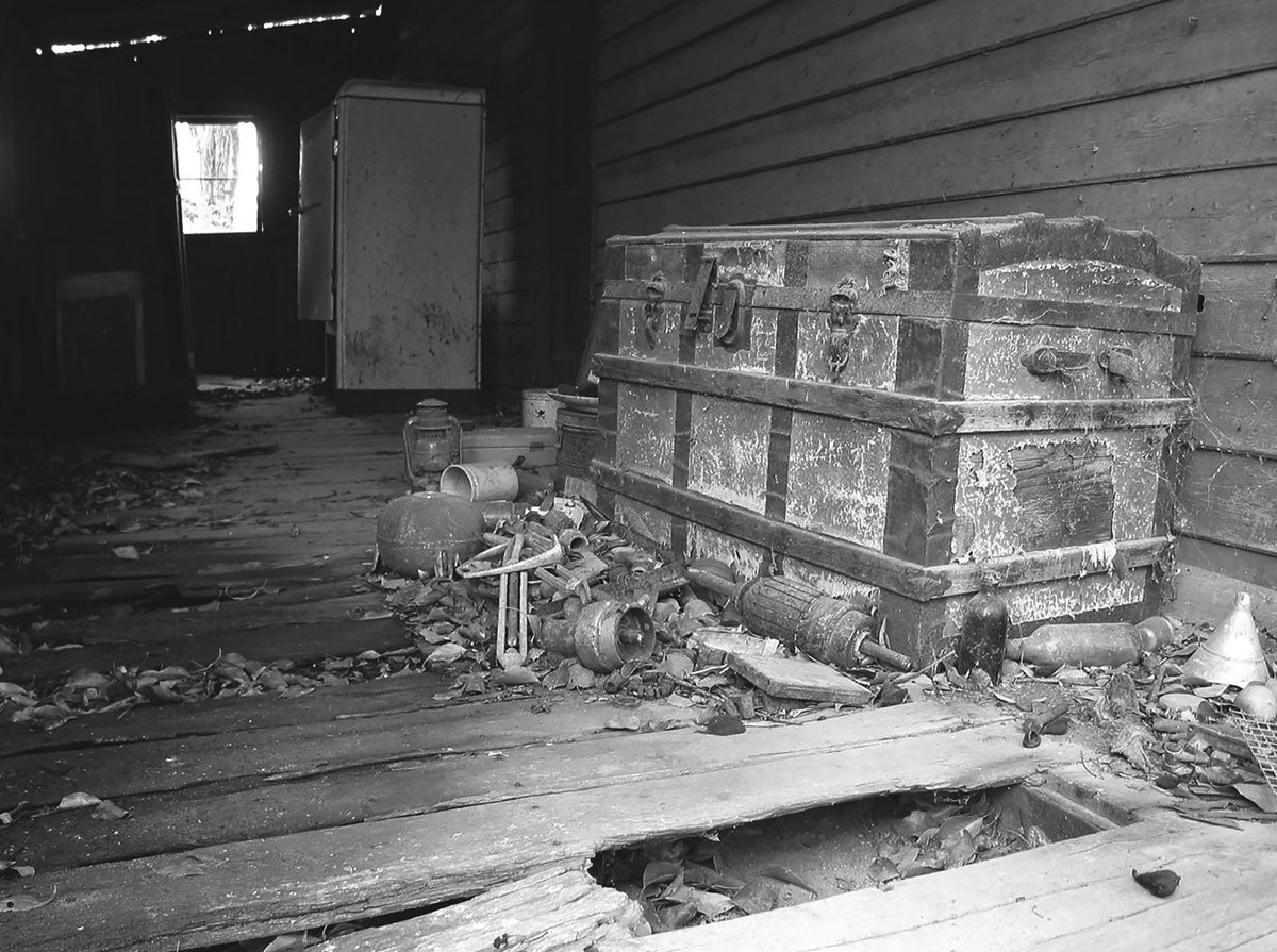 The trunk on the verandah at Spring Forest 2016 courtesy Roger Butler At - photo 3