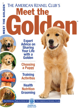 American Kennel Club - Meet the Golden