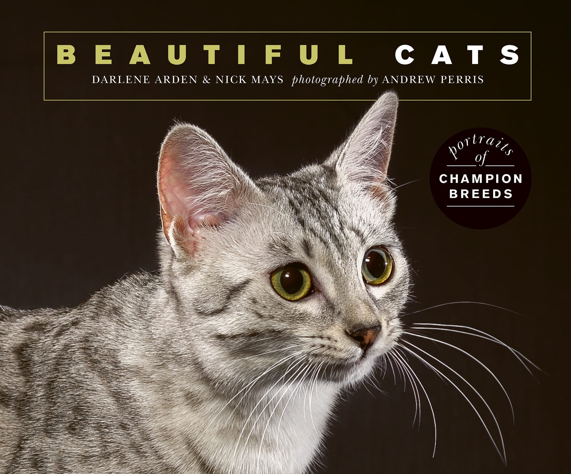 BEAUTIFUL CATS portraits of CHAMPION BREEDS DARLENE ARDEN NICK MAYS - photo 1