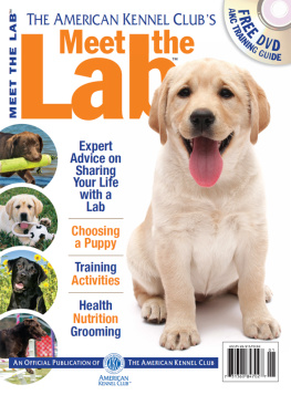 American Kennel Club Meet the Lab