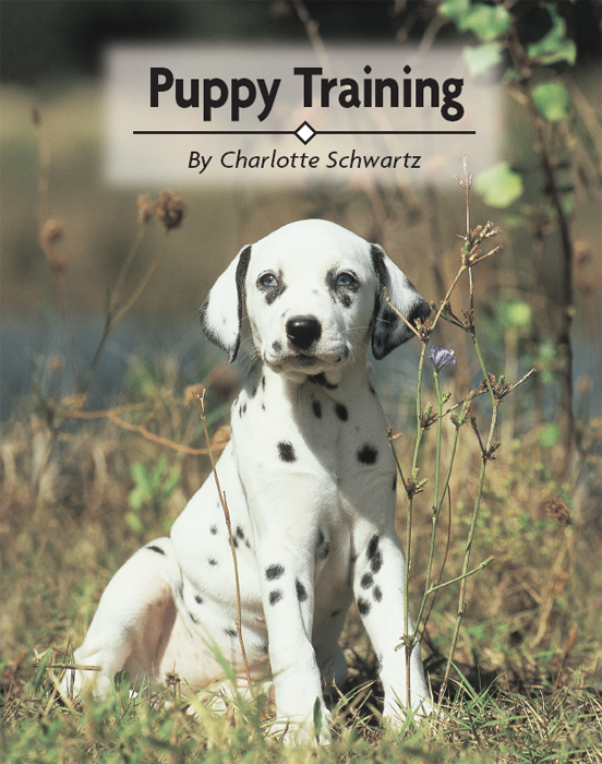 Contents Explore an overview of the advantages of training a young puppy - photo 2