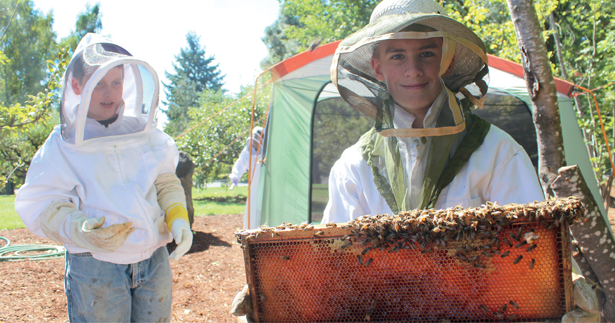 Connor and Andrew are learning about beekeeping at their school in Portland - photo 3