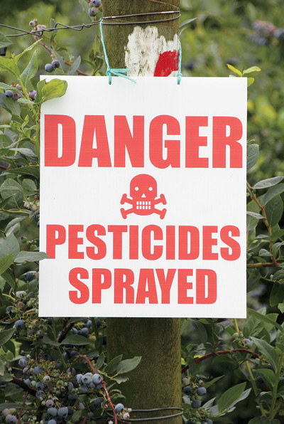 Pesticides can be very harmful to beesas well as other insects birds and - photo 5