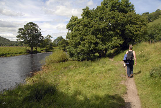 Riverside loveliness along the Wharfe north of Burnsall Stage 2 - photo 6