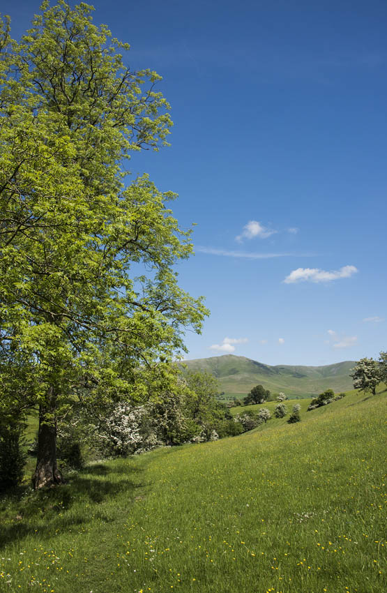 Lush meadows in Springtime above Beckfoot Stage 5 ROUTE SUMMARY TABLE - photo 10