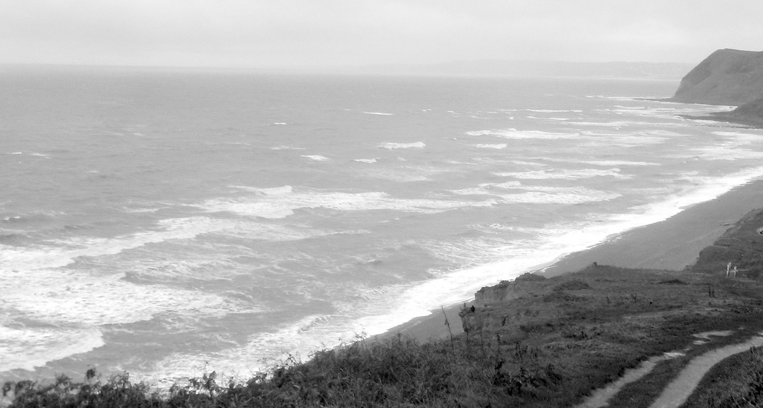 Staring at the Sea We moved to Dorset in November 2014 It was stormy all - photo 3