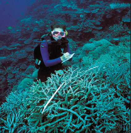 A marine biologist studies a coral reef off the coast of Fiji to determine the - photo 3