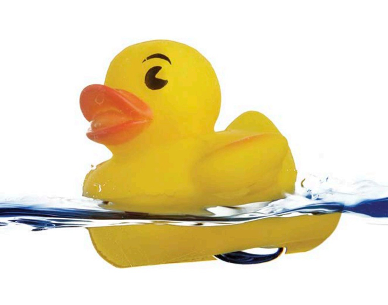 A rubber duck is less dense than water and weighs a lot less than the water it - photo 4