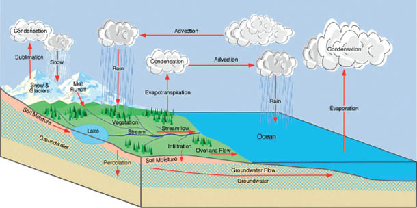 Figure 11 Hydrologic cycle showing the main elements of the earths surface - photo 2