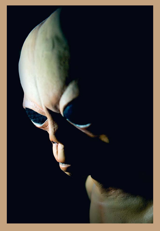 Dr Enrique Bottas description of bald aliens with domed heads is highly - photo 5