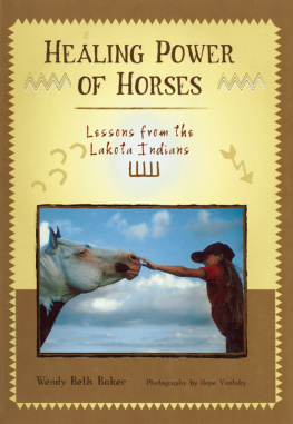 Wendy Beth Baker Healing Power of Horses: Lessons from the Lakota Indians