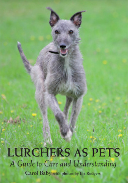 Carol Baby Lurchers as Pets: A Guide to Care and Understanding