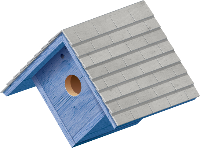 Build Your Own Backyard Birdhouses and Feeders - image 3