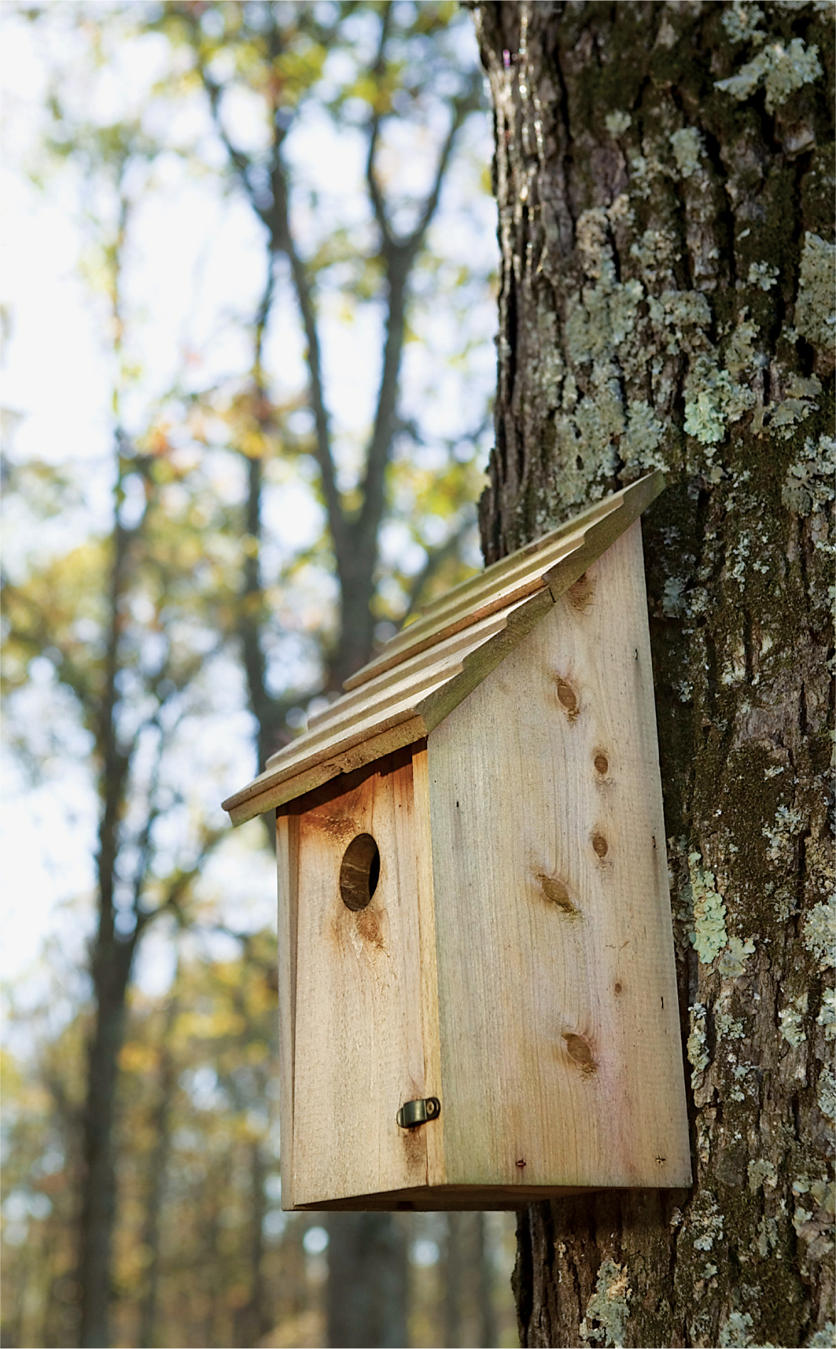 While fence posts may be convenient nest boxes actually work better when - photo 8