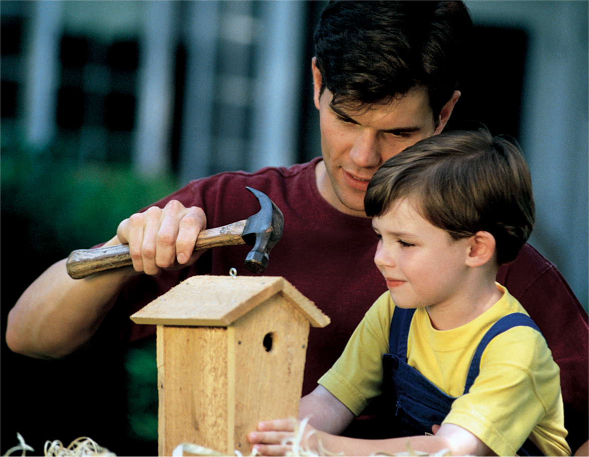 While fence posts may be convenient nest boxes actually work better when - photo 9