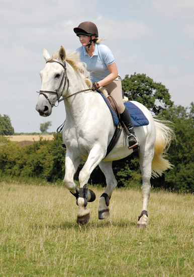 Contents The British Horse Society was founded in 1947 to work for the good - photo 2