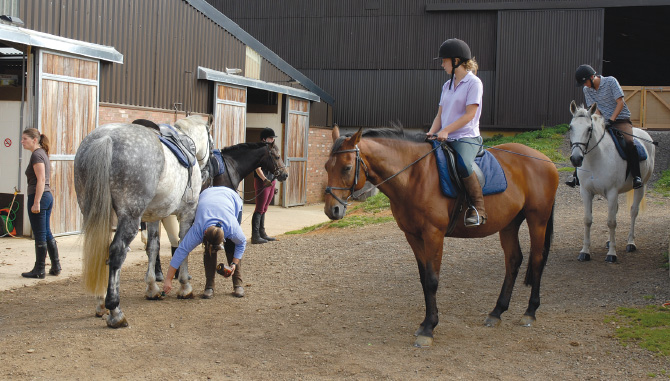 Even at a really busy riding school the horses and ponies will be well cared - photo 4