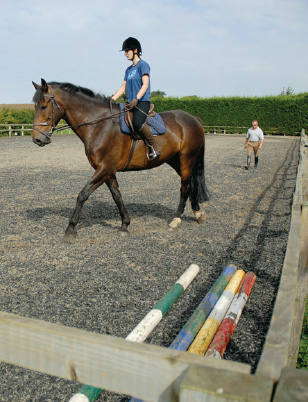 A well-run riding school will make sure that all the areas including riding - photo 5