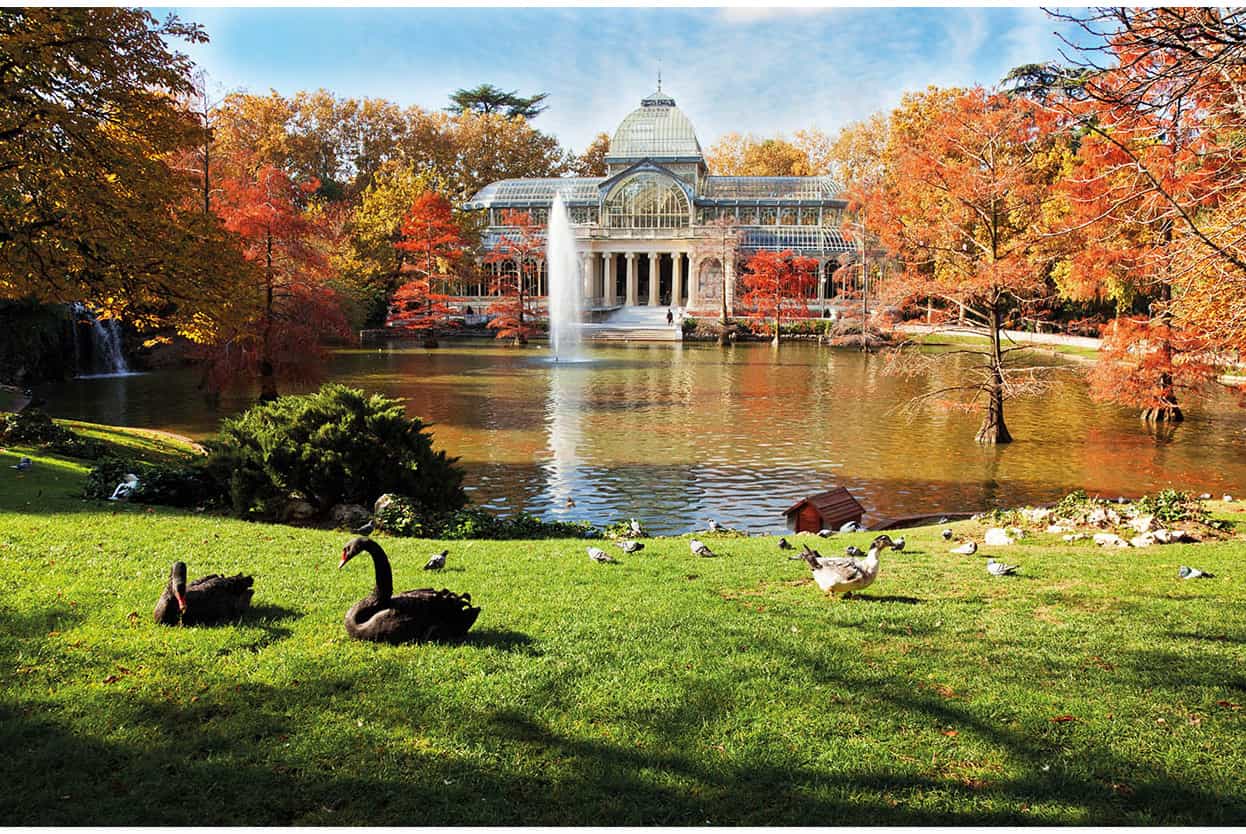 Top Attraction 10 iStock Parque del Buen Retiro Its trees lawns and lake make - photo 13