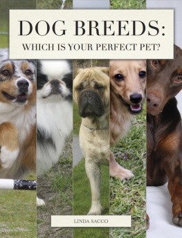 Linda Sacco - Dog Breeds: Which is Your Perfect Pet?