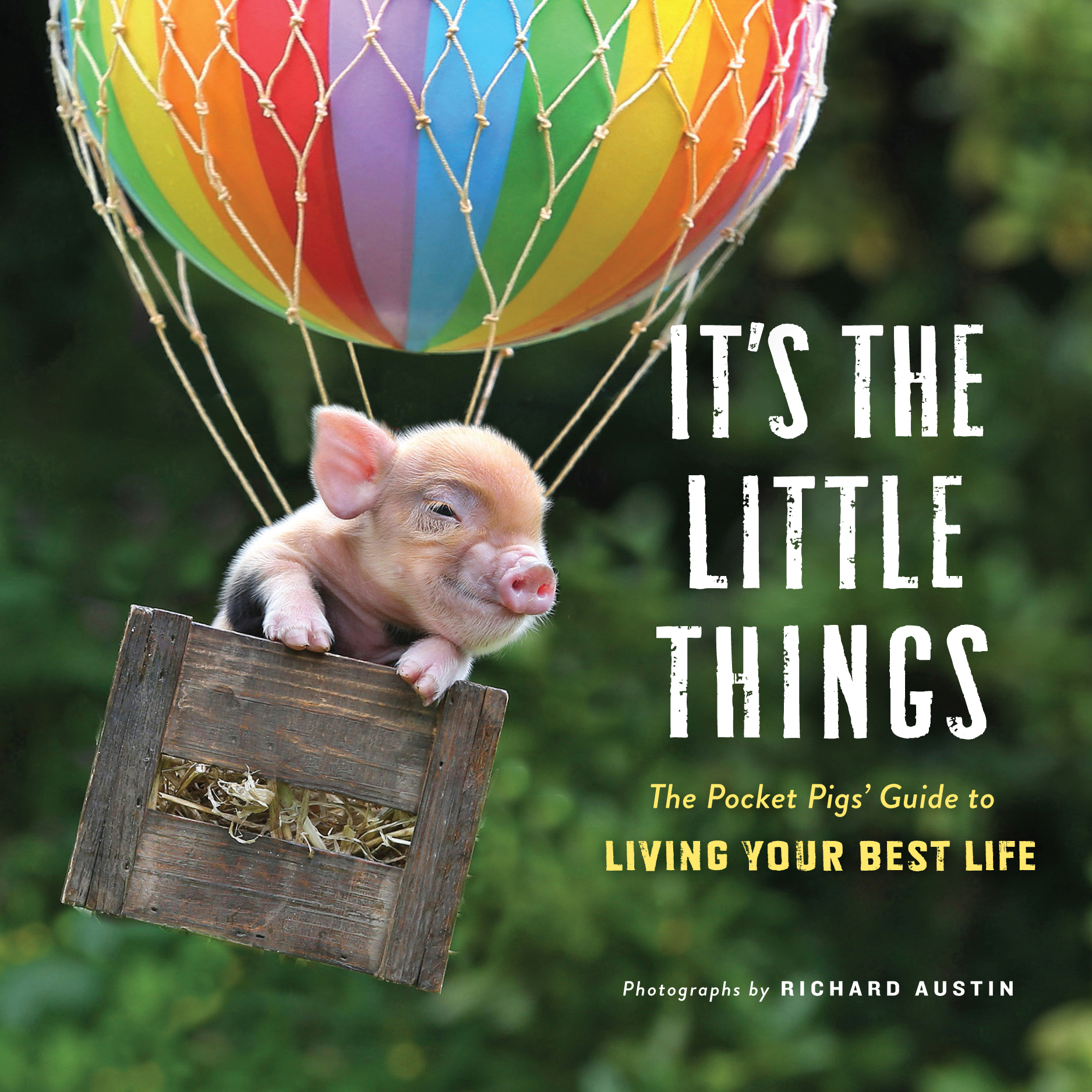 Its The Little Things The Pocket Pigs Guide to LIVING YOUR BEST LIFE - photo 1