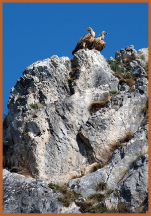 Image Credit Shutterstock cliff klifA high steep rock on the side of a - photo 2