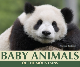 Carmen Bredeson Baby Animals of the Mountains