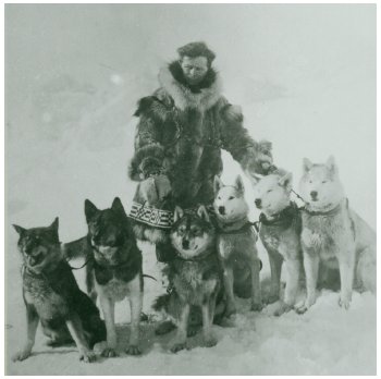 Leonhard Seppala with a team of dogs The dog on the far left is Togo and the - photo 3