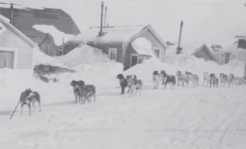 Nome about the time of Baltos historic run Courtesy of Carrie M McLain - photo 2