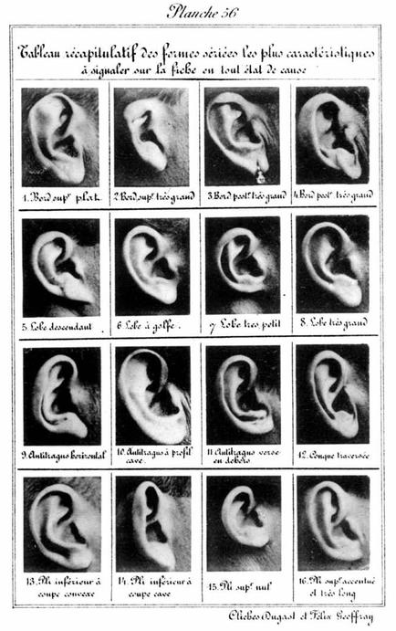 Bertillons chart of criminal ears COURTESY OF THE PREFECTURE DE POLICE PARIS - photo 2