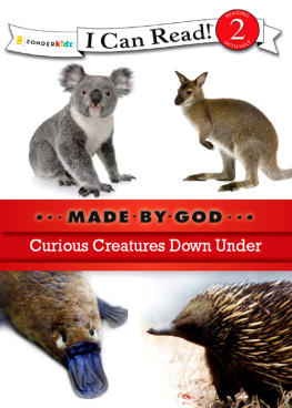 Zondervan - Curious Creatures Down Under