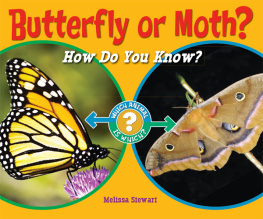 Melissa Stewart - Butterfly or Moth?