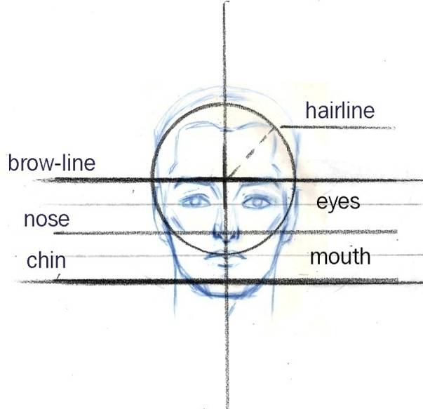 Guideline with Example of a Head Drawingthat Follows the Guideline 7 In order - photo 5