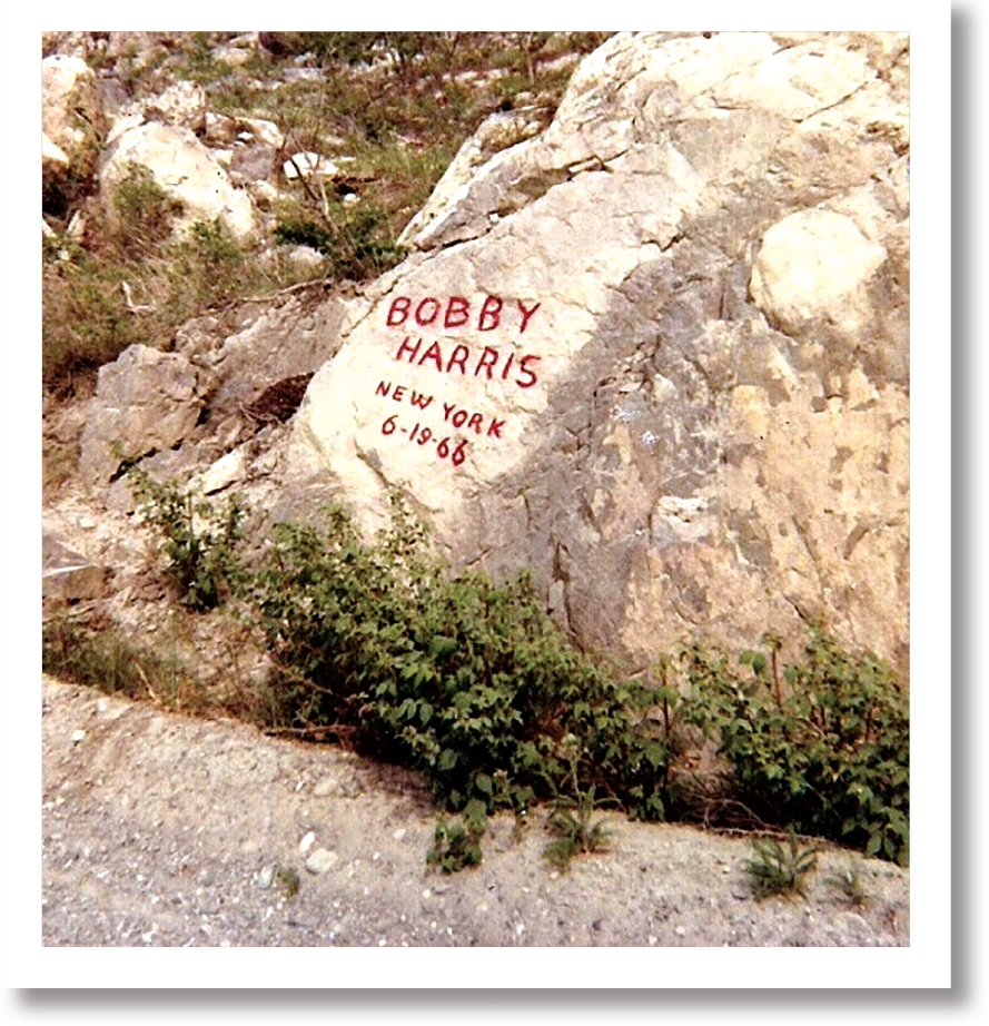 My own sign near what would become the Sign Post Forest Watson Lake Yukon - photo 2