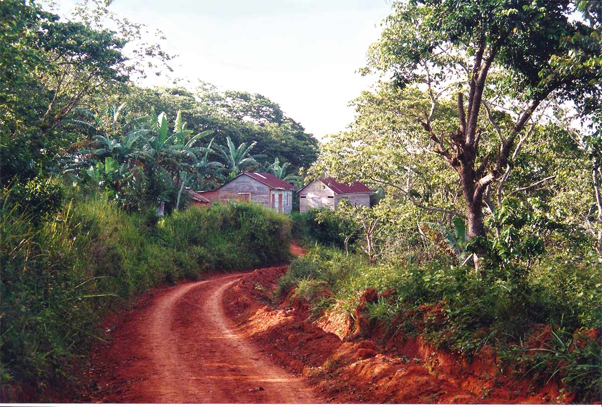 In this village in the Dominican Republic the rough dirt road turned to thick - photo 2