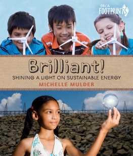 Michelle Mulder Brilliant!: Shining a light on sustainable energy