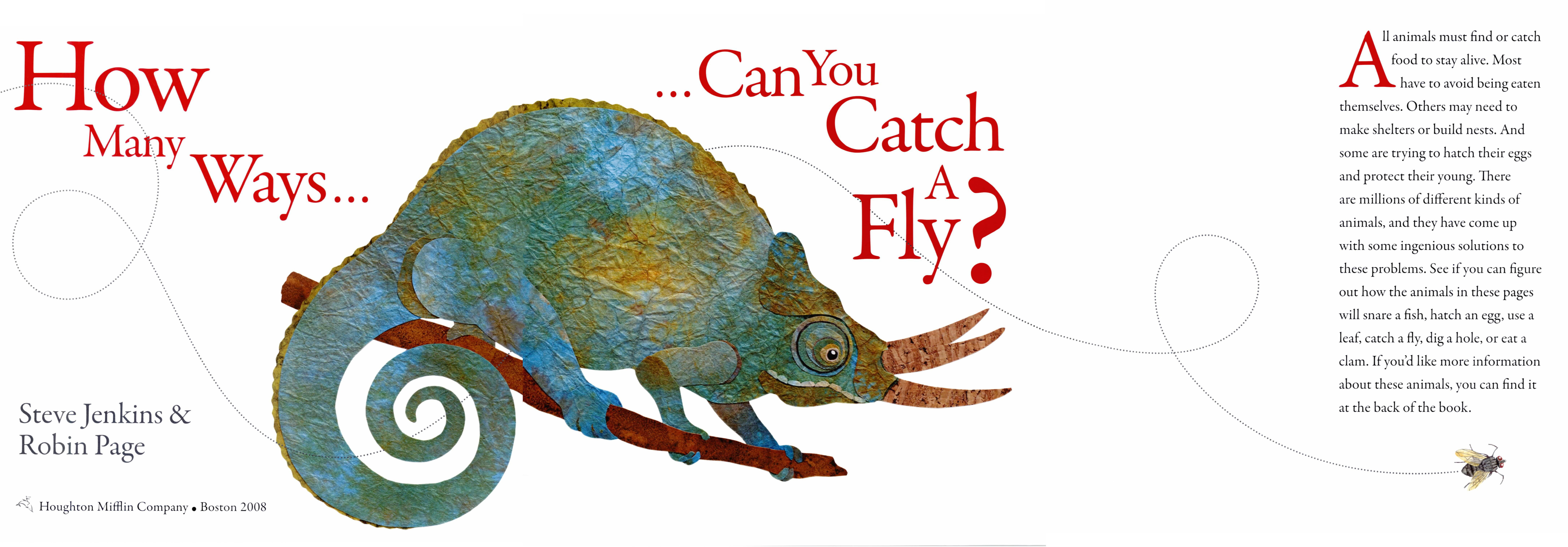 How Many Ways Can You Catch a Fly - photo 1